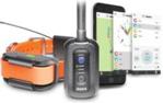 Dogtra Gps I Obroża Treningowa Pathfinder