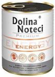 Dolina Noteci Premium Energy 800G