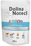 Dolina Noteci Premium Junior Jagnięcina 10x300g