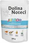 Dolina Noteci Premium Junior z jagnięciną - saszetka 300g