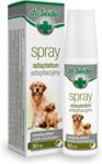 Dr Seidel Spray Adaptacyjny 90Ml