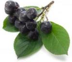 Elena Liofilizowana Aronia 30G