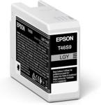 Epson T46S9 Jasny szary