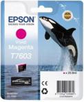 Epson T7603 Purpurowy