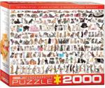 Eurographics Puzzle 1000El. Świat Kotów 8220-0580