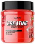 Evolite Creatine Monohydrate 500G