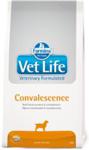 Farmina Vet Life Convalescence 2kg