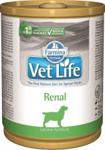 Farmina Vet Life Renal 12x300g