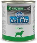 Farmina Vet Life Renal 300g