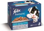 Felix Fantastic Adult Kurczak 12x100g