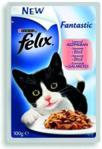 Felix Fantastic Adult Łosoś 100g