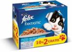 Felix Fantastic Adult Uczta Oceanu Łosoś i Płastuga 12x100g