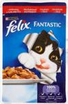 Felix Fantastic Adult Wołowina 48x100g