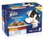 FELIX Fantastic Duo delikatne mięso w galarecie 12x100g