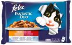 Felix Fantastic Duo Wiejskie Smaki galaretka saszetki 4x100g