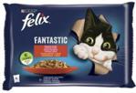 Felix Fantastic Karma dla kotów wiejskie smaki w galaretce 4x85g