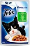 FELIX Fantastic w galaretce saszetka 100g