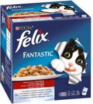 Felix Fantastic Wiejskie smaki 24x100g