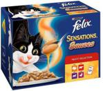 Felix Sensations Sauces z mięsem 12x100g