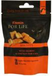 Fitmin Cat Biscuits With Salmon And Chicken 50G