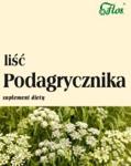 Flos Podagrycznik Liść 100G