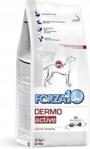 Forza10 Active Line Dermo Active 10kg