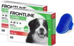 Frontline Combo Spot On Pies XL powyżej 40kg pipeta 6x4,02ml