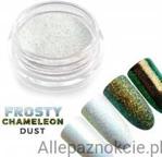 FROSTY CHAMELEON DUST pyłek do zdobienia paznokci pyłek do zdobienia paznokci SŁOICZEK 1g