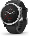 Garmin Fenix 6S Srebrno-Czarny (0100215901)