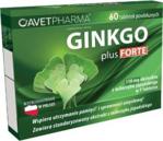 Ginkgo Plus Forte 60 tabl.