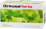 Ginkosal forte 80 mg 60 kaps.