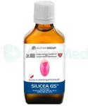 Glycan Group Krzem Organiczny Si-G5 Silicea Wzbogacony Choliną 50ml