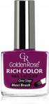 Golden Rose Lakier do Paznokci Rich Color 31