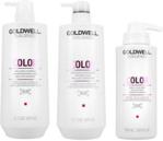 Goldwell Dualsenses Color Szampon 1000ml + Odżywka 1000ml + Kuracja 500ml