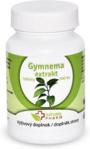 Gymnema Sylvestre Gurmar (cukrzyca) 100 tabletek