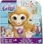 Hasbro Furreal Friends Małpka Zandi E0367