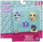 Hasbro Littlest Pet Shop Kocia Drużyna Snowboardowa E1014