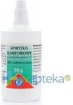 Hasco Spirytus kamforowy 10% 90 g