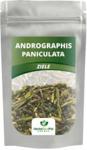 herbanordpol Andrographis Oryginalne Do Zaparzania 200g