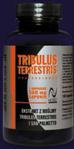 Hi-Tec Tribulus Terrestris Professional 100 Kaps