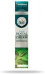 Himalaya Dental Cream Ajurwedyjska Pasta Do Zębów Z Neem 100 G