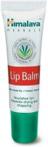 HIMALAYA HERBALS LIP BALM balsam do ust 10g