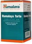 Himalaya Rumalaya Forte 60 tabl.