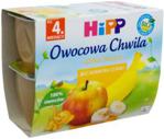 Hipp Owocowa Chwila Przecier Owocowy Jabłka-Banany Po 4 Miesiącu Bio 400G