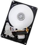 Hitachi DeskStar E7K1000 1TB 32MB 7200rpm SATA2 3,5cala (HDE721010SLA330)