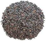 Horeca Ryż Czarny Pełnoziarnisty Bio (25 Kg) 2