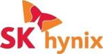 Hynix ECC 8GB DDR3 (HMT41GR7BFR8APB)