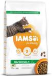 IAMS for Vitality Adult z jagnięciną 10kg