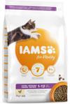IAMS for Vitality Kitten ze świeżym kurczakiem 2x10kg