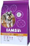 IAMS ProActive Health Mature & Senior All breeds kurczak 12 kg